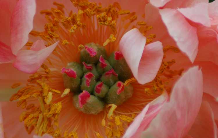 Photo 3 of Monthly - Second Monday Every Month.