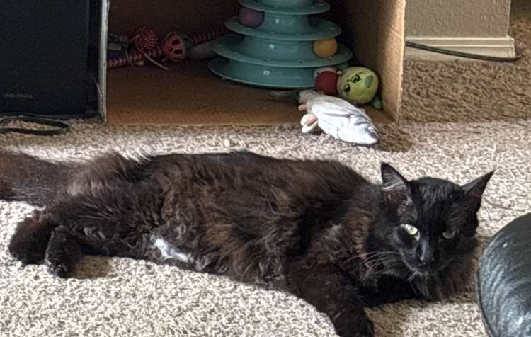 Photo 1 of Test Event.