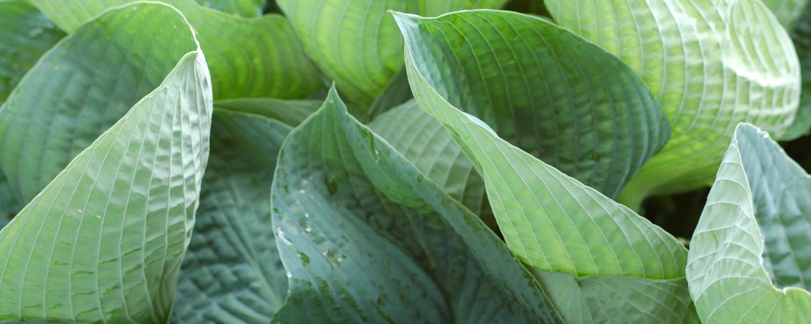 Gel provides a flexible, secure, and customizable website platform.