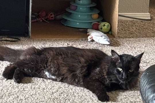 Our test gallery preview image.